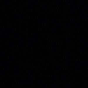 Meet your Posher, Elsa